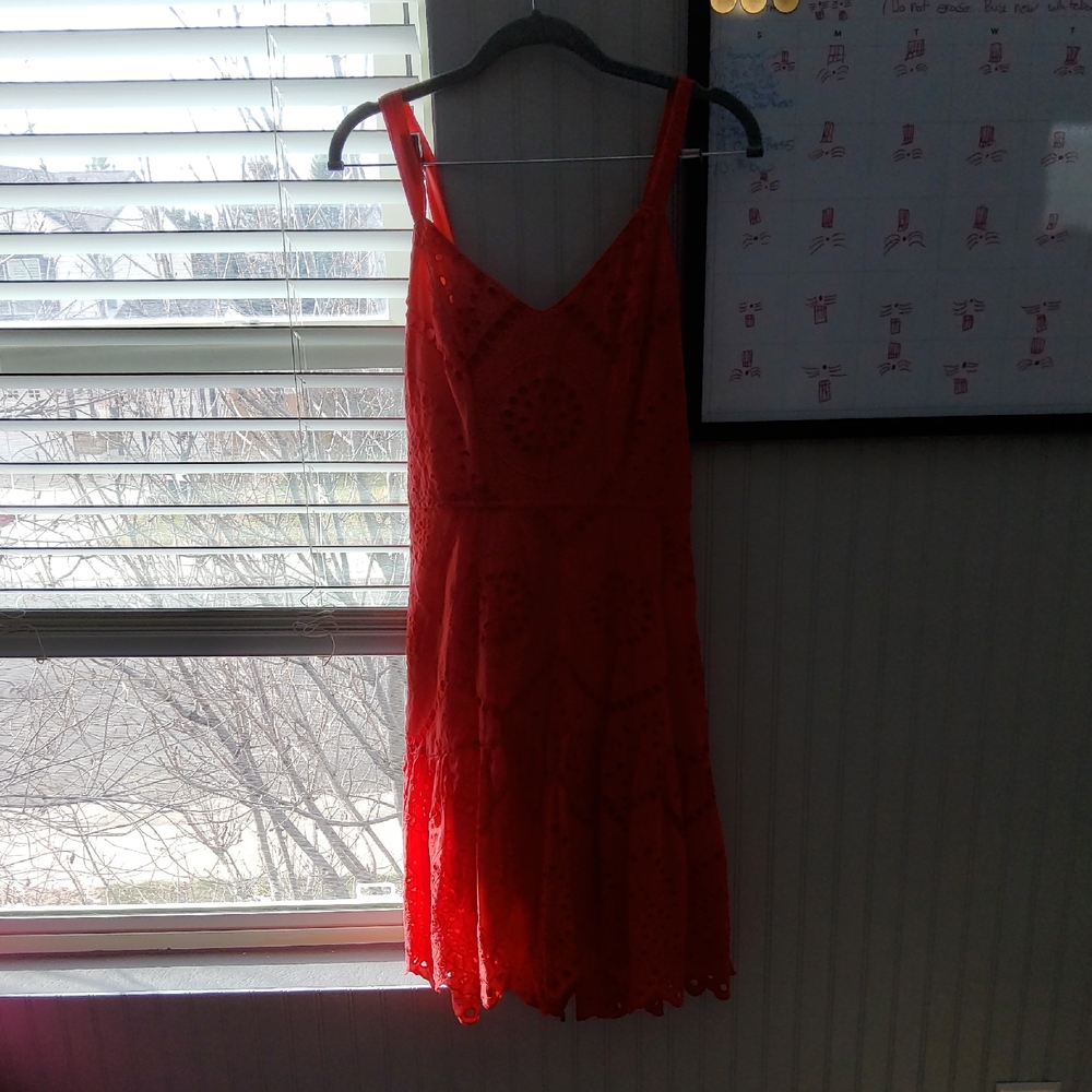 Japna Vibrant Red Midi Dress